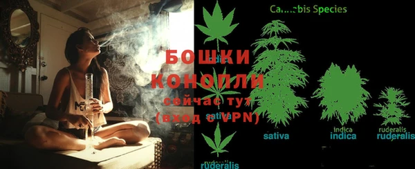 кокс Богородск