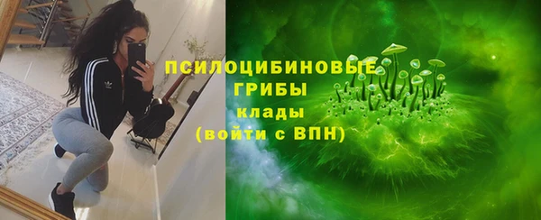 сатива Богданович