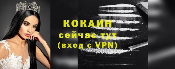 сатива Богданович