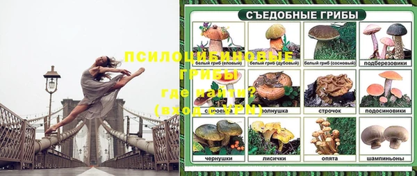 круглые Богородицк