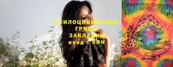 сатива Богданович